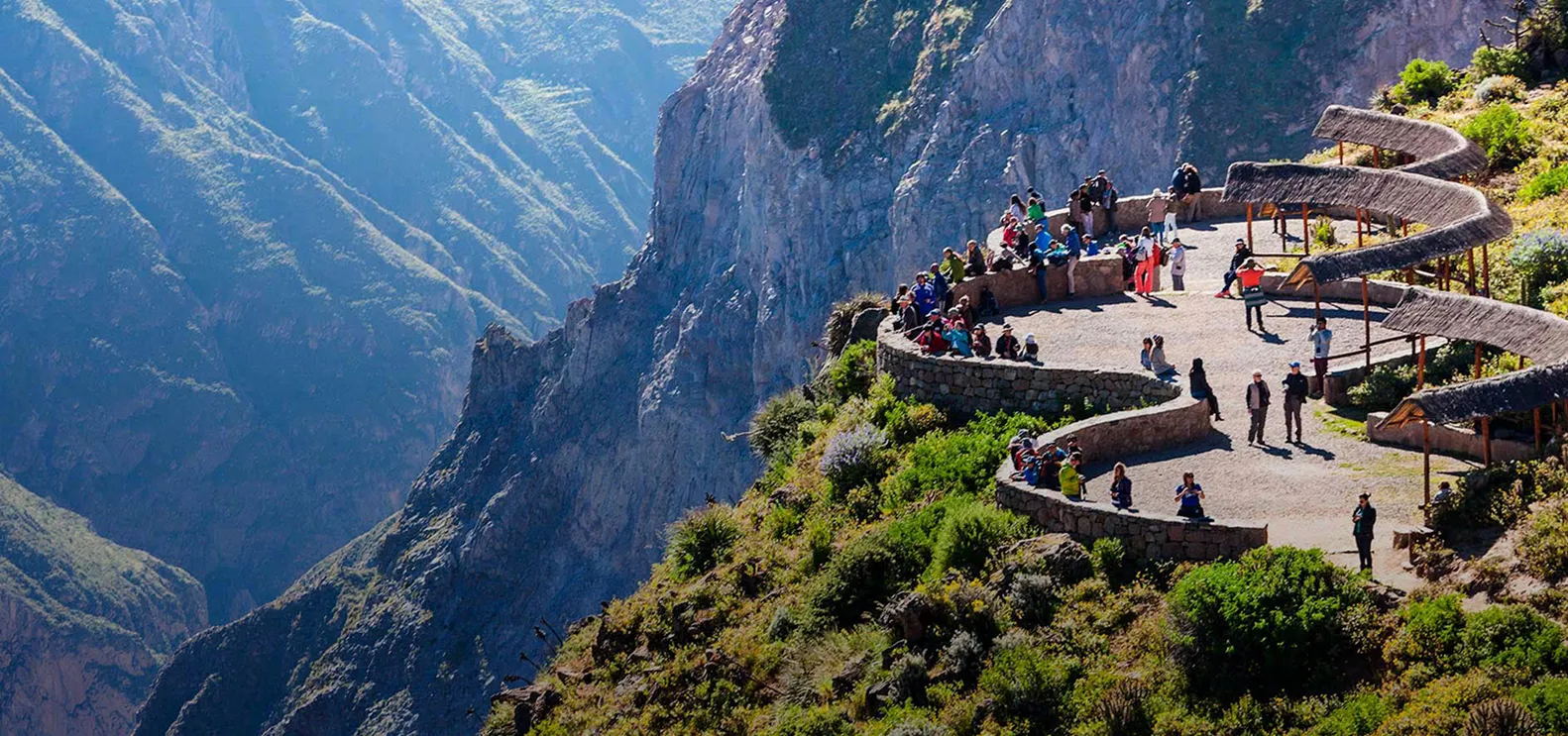 Taza de café y libro